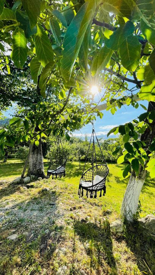 Green Garden Glamping Retezat Bălan Exterior foto